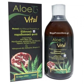 Genomed Aloe G Aloe Vera - Κολλαγόνο - Υαλουρανικό Οξύ - Ρόδι - Κολλαγόνο - Βιταμίνη C & 6 Κρητικά Β