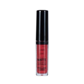 Lavish Care Matte Liquid Lipcolor No.16 6ml