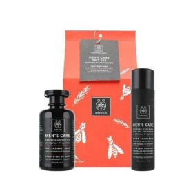 APIVITA PROMO MENS CARE ΕΝΥΔΑΤΙΚΟ AFTER SHAVE 100ML & ΣΑΜΠΟΥΑΝ & ΑΦΡΟΛΟΥΤΡΟ 250ML